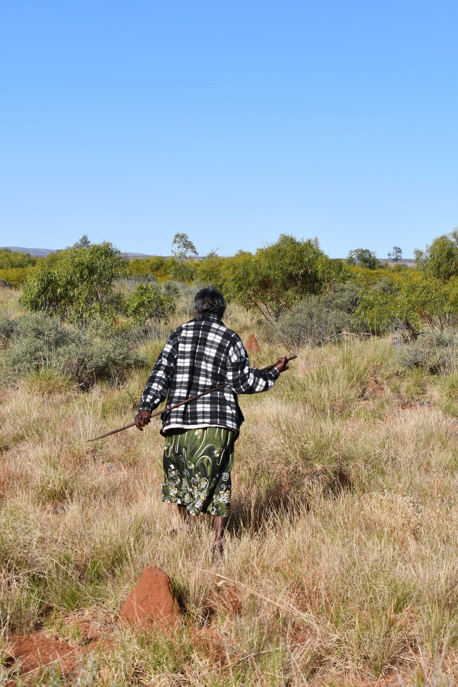 Arlpwe Art & Culture Centre - Doreen Rankine Nangala