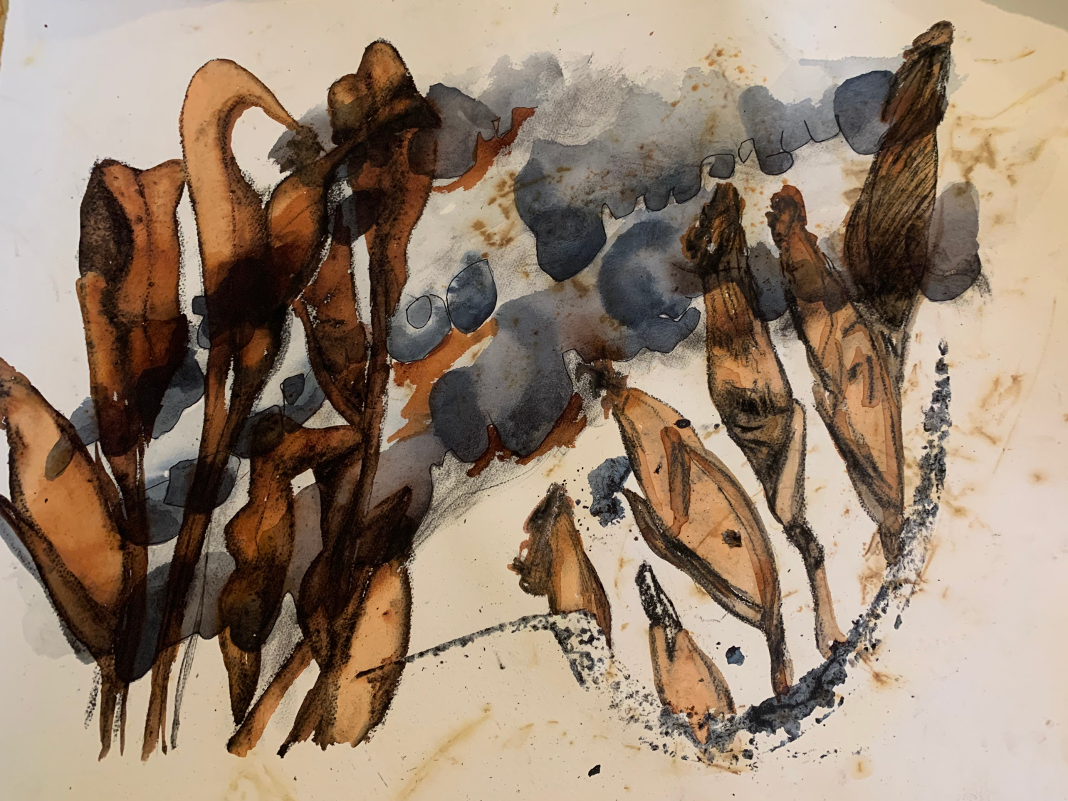 Francoise Lane - A corn harvest between the rocky garden terraces