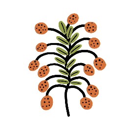 Artists of Ampilatwatja