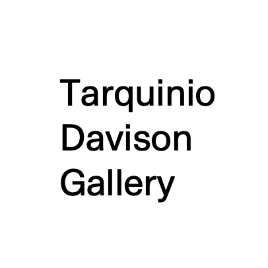 Tarquinio Davison Gallery