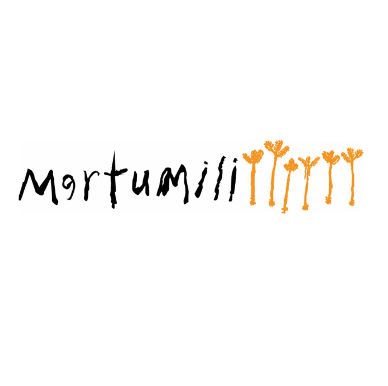 Martumili Artists Martumili Artists
