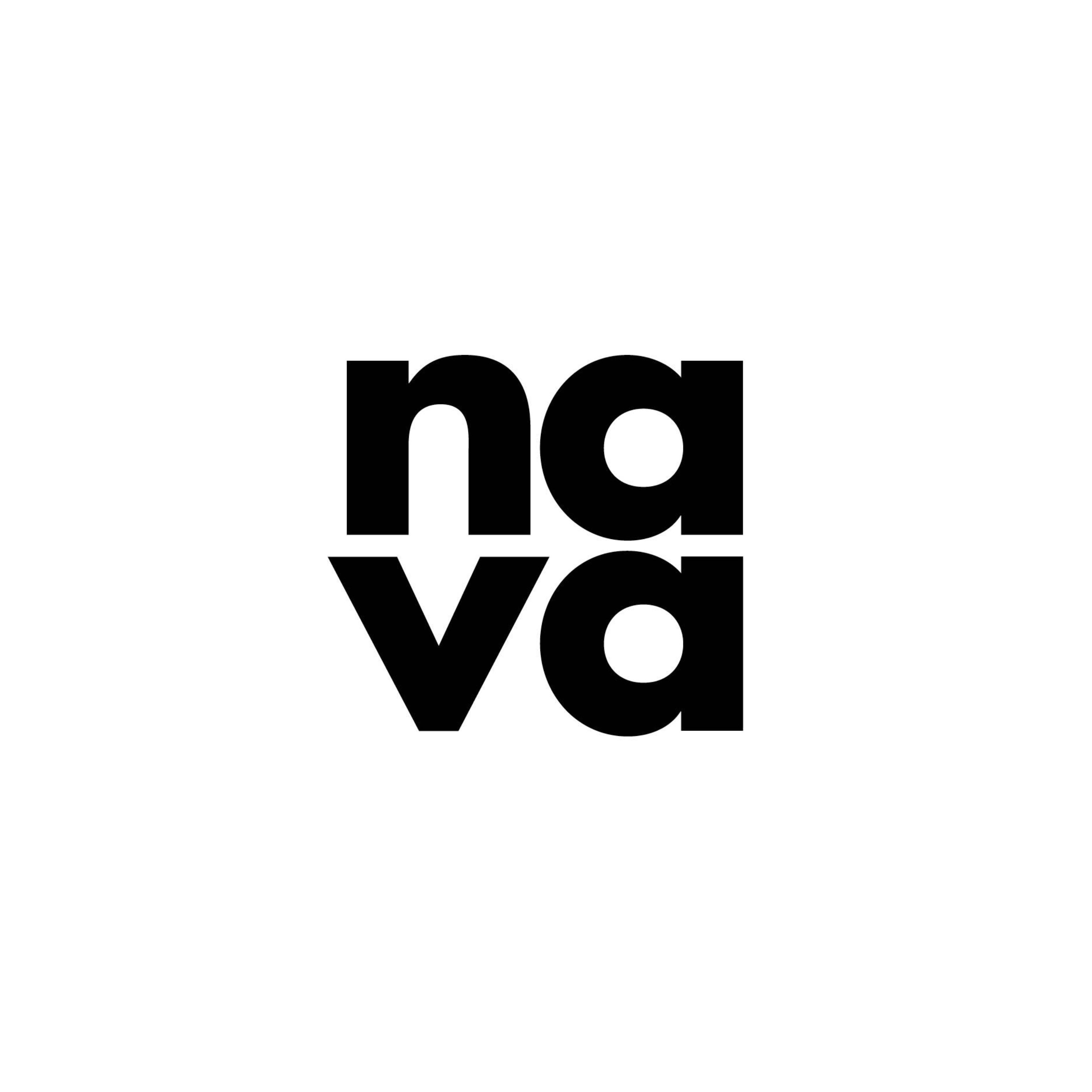 National Association for the Visual Arts