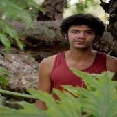 Peter Johnstone Peter Johnstone