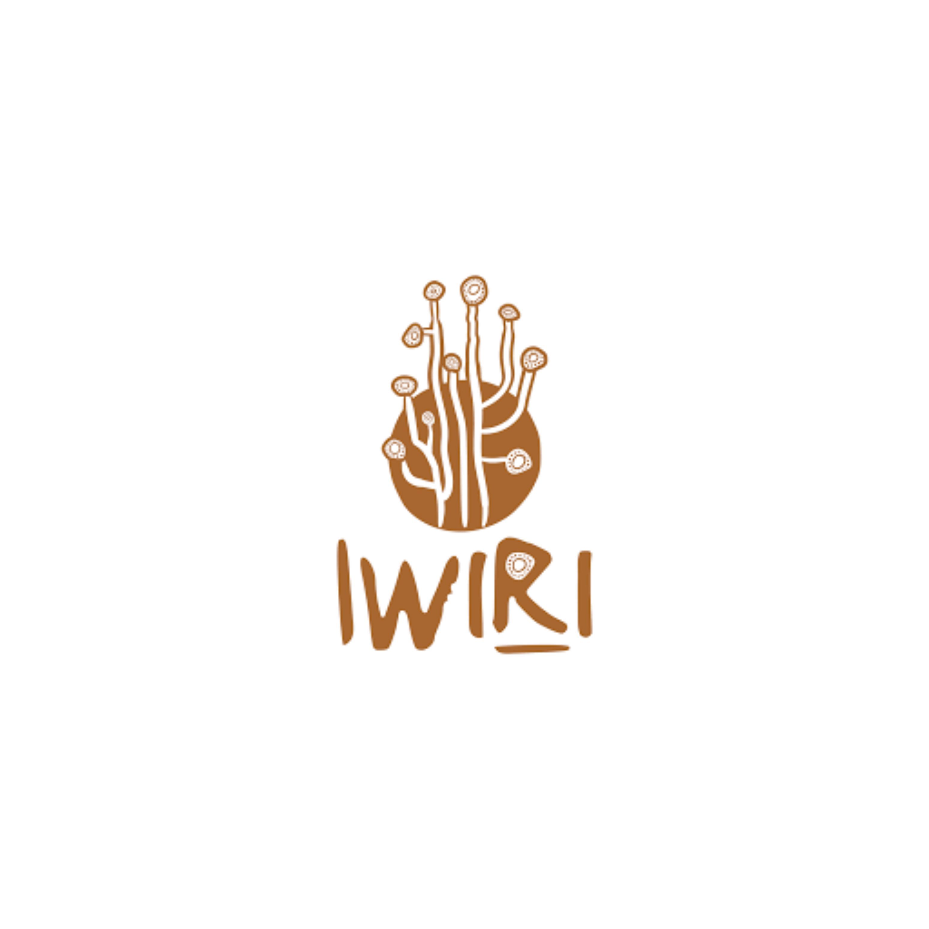 Iwiri Arts