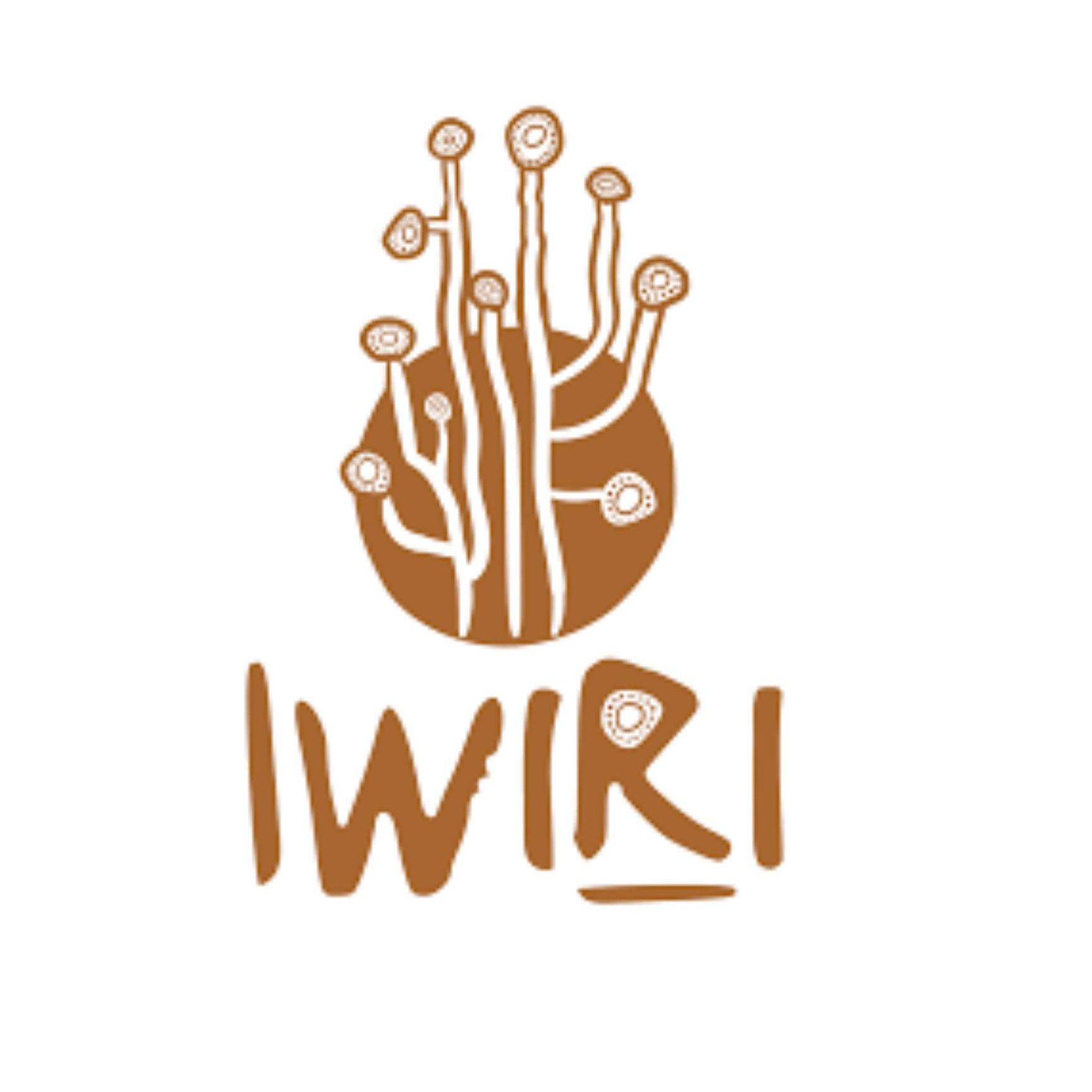 Iwiri Arts Iwiri Arts